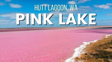 Hutt Lagoon - The Pink Lake Western Australia | Cinematic Drone Footage