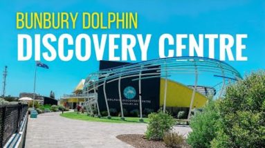 Dolphin Discovery Centre Bunbury | Western Australia Aquarium